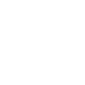 logo-speed-assur